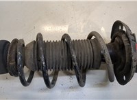  Амортизатор подвески Skoda Rapid 20317924 #3