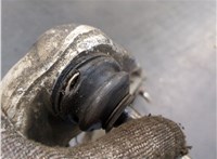 31122343352, 2343352 Рычаг подвески BMW 3 E46 1998-2006 20317956 #8