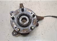  Ступица (кулак, цапфа) Hyundai Santa Fe 2000-2005 20317974 #1