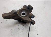  Ступица (кулак, цапфа) Hyundai Santa Fe 2000-2005 20317974 #2