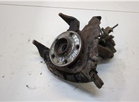  Ступица (кулак, цапфа) Skoda Fabia 2007-2010 20317989 #1