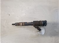  Форсунка топливная Renault Scenic 2003-2009 20318041 #4