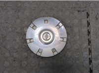  Колпачок литого диска Chrysler Pacifica 2003-2008 20318110 #1