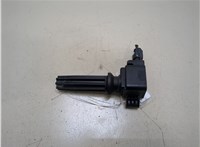 CM5Z12029K Катушка зажигания Lincoln MKC 2018-2019 20318254 #1