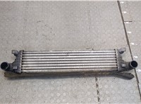  Радиатор интеркулера Jaguar X-type 20318358 #1