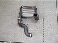  Радиатор интеркулера Audi A4 (B6) 2000-2004 20318379 #2