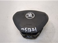  Подушка безопасности водителя Skoda Rapid 20318518 #1