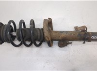  Амортизатор подвески Ford Kuga 2008-2012 20318573 #1