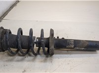  Амортизатор подвески Audi A3 (8P) 2004-2008 20318741 #1