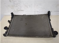  Радиатор охлаждения двигателя Mercedes E W212 2009-2013 20318824 #1