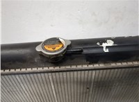  Радиатор охлаждения двигателя Nissan Navara 2005-2015 20318834 #5