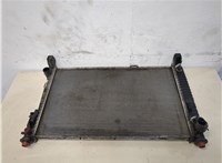  Радиатор охлаждения двигателя Mercedes B W245 2005-2012 20318901 #1